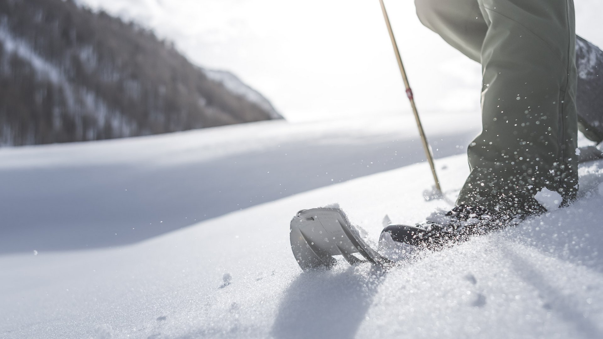 Winterwandern in der Kronplatz-Region Nahaufnahme von Skiern und Skistöcken im frischen Pulverschnee