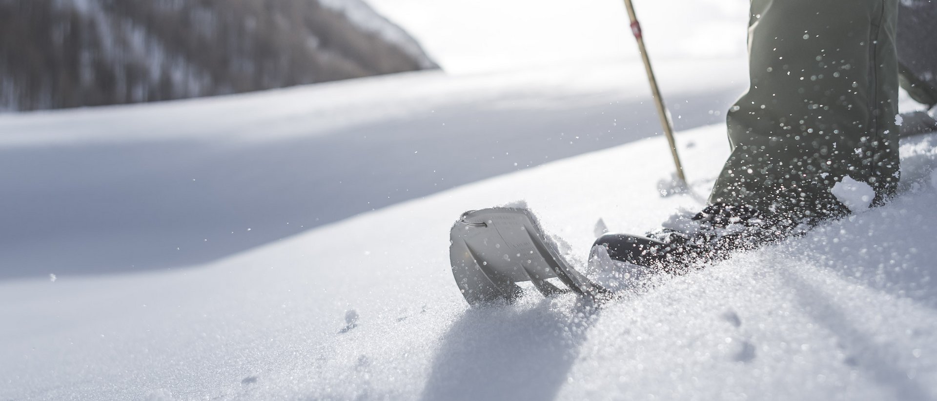 Active holidays in South Tyrol: a great experience Close-up of skis and poles in fresh snow on a mountain