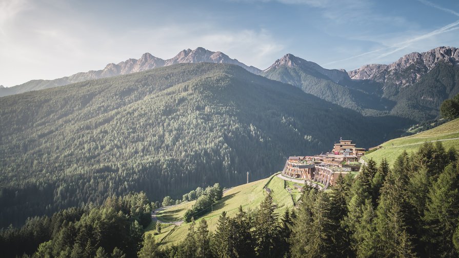 Der Wald als Wohlfühlapotheke direkt vor unserer Tür Berglandschaft mit Wäldern und Gebäuden am Hang unter klarem Himmel