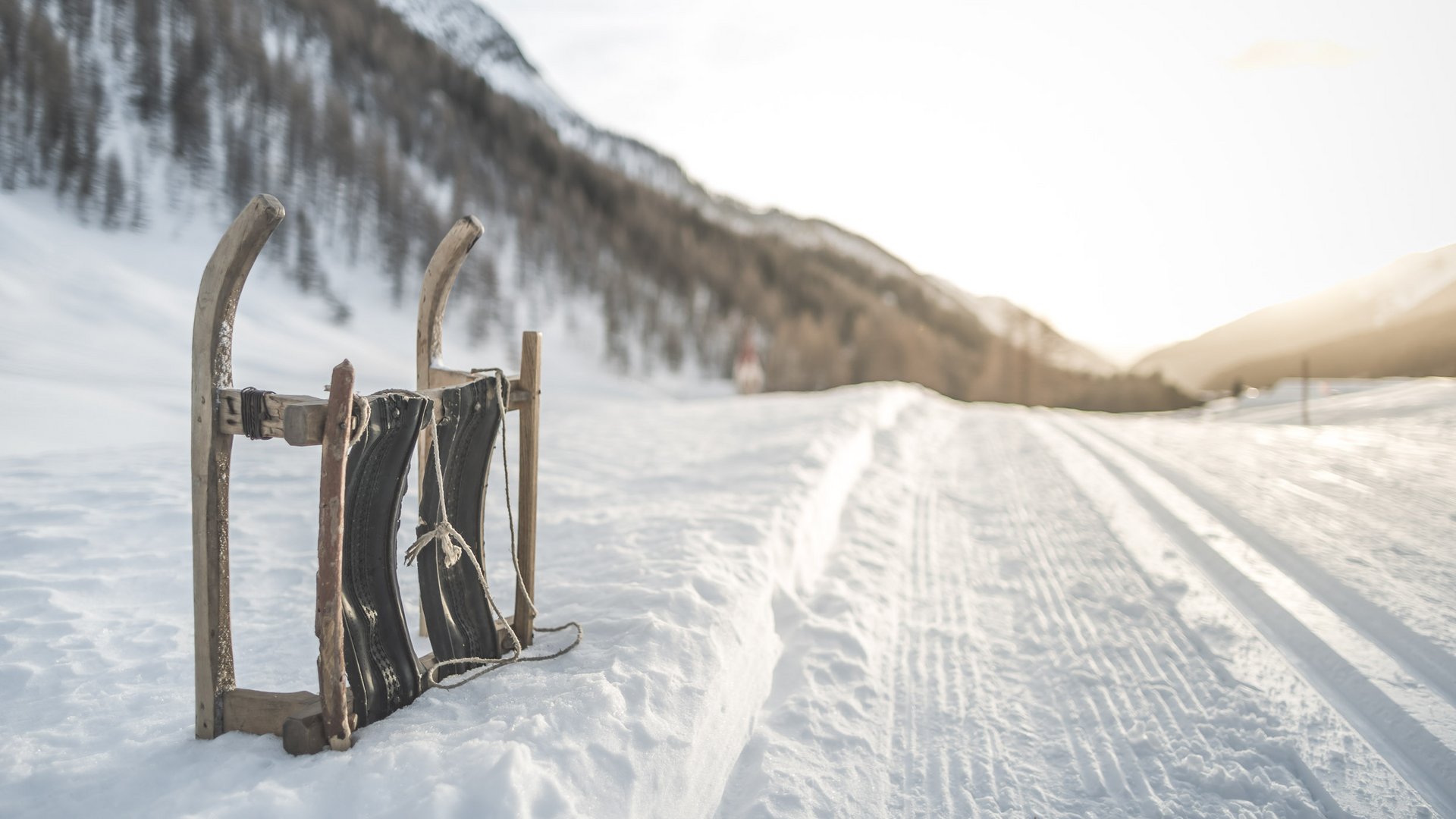 Winter holidays at Plan de Corones/Kronplatz: incredibly diverse