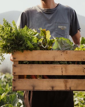 Atelier Moessmer Norbert Niederkofler Uomo tiene una cassetta di legno con verdure fresche in fattoria