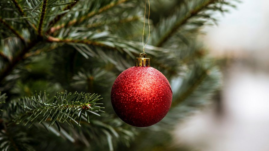 Ein Abend voller Magie, Tradition und Herzlichkeit Roter Weihnachtsschmuck hängt an einem Tannenzweig